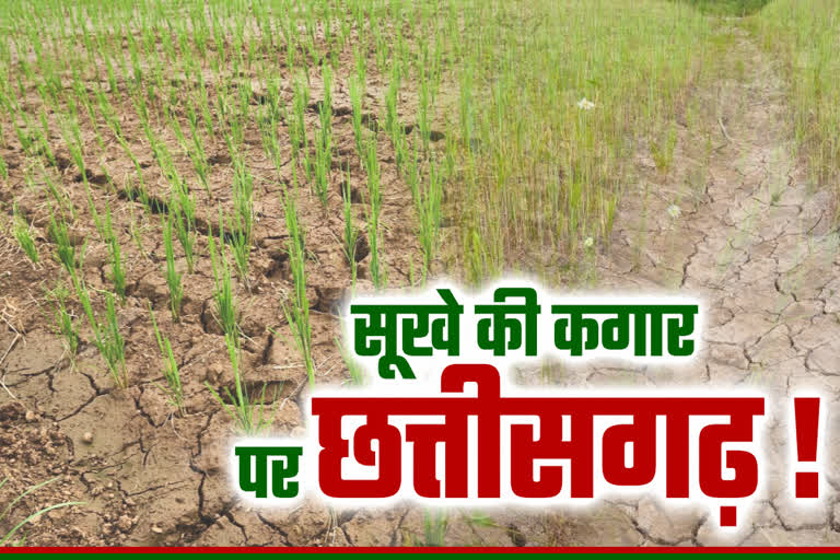 Drought In Chhatishgarh: à¤à¤¤à¥à¤¤à¥à¤¸à¤à¤¢à¤¼ à¤à¥ 10 à¤à¤¿à¤²à¥à¤ à¤®à¥à¤ à¤¬à¤¨ à¤°à¤¹à¥ à¤¸à¥à¤à¥ à¤à¥ à¤¹à¤¾à¤²à¤¾à¤¤, à¤«à¤¸à¤² à¤¨à¥à¤à¤¸à¤¾à¤¨ à¤¹à¥à¤¨à¥ à¤à¤¾ à¤à¤à¤¦à¥à¤¶à¤¾, à¤¸à¤¹à¤®à¥ à¤à¤¿à¤¸à¤¾à¤¨, drought-in-chhattisgarh -deficit-rain-in-10-districts-in-north-chhattisgarh