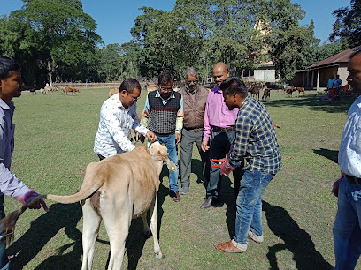 veterinary hospitals in assam