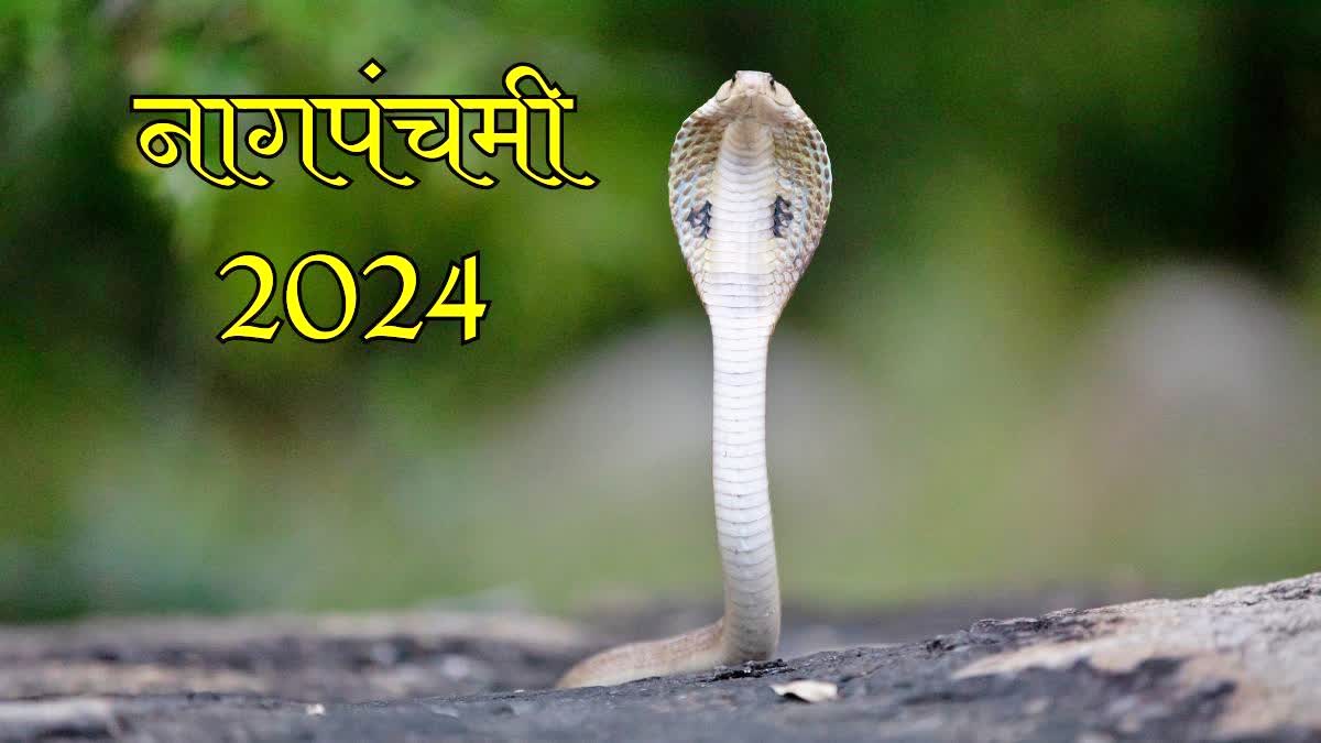 नागपंचमी 2024