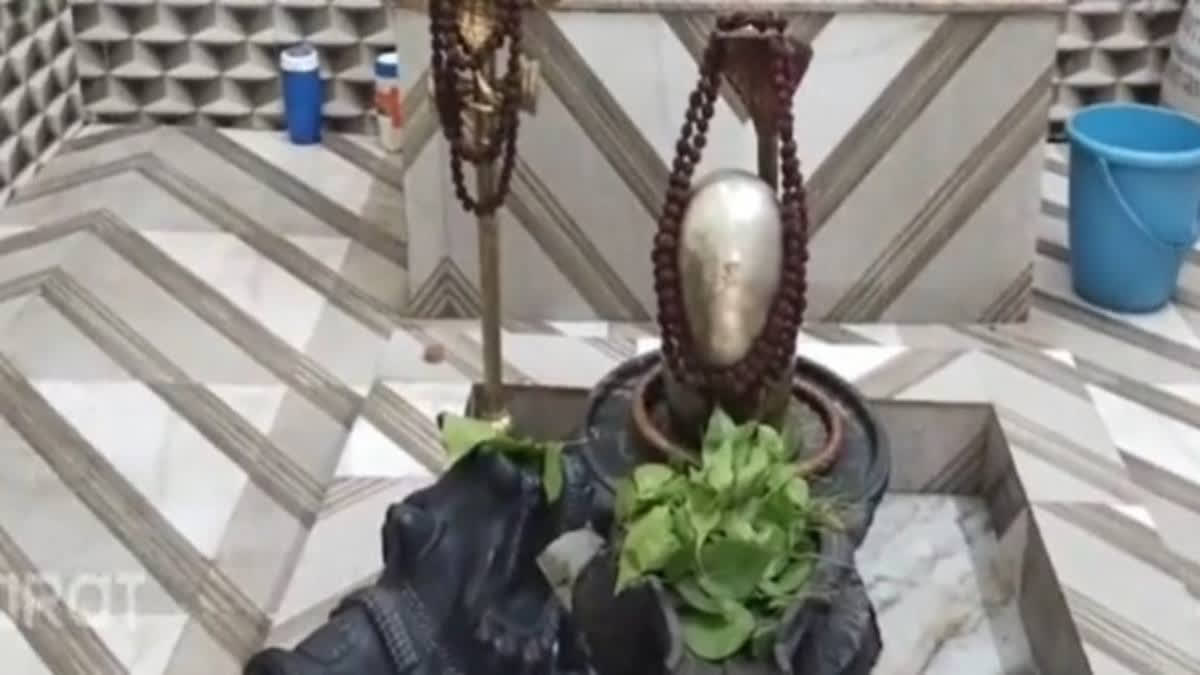 special-report-bharatpur-daughter-converted-his-father-house-into-a-temple-and-installed-a-mercury-shivling