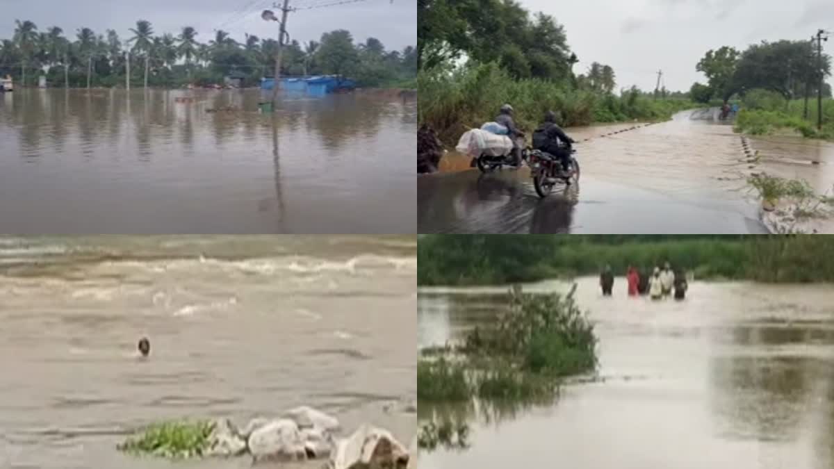 BJP tour  BJP tour in flood affected areas  Bengaluru