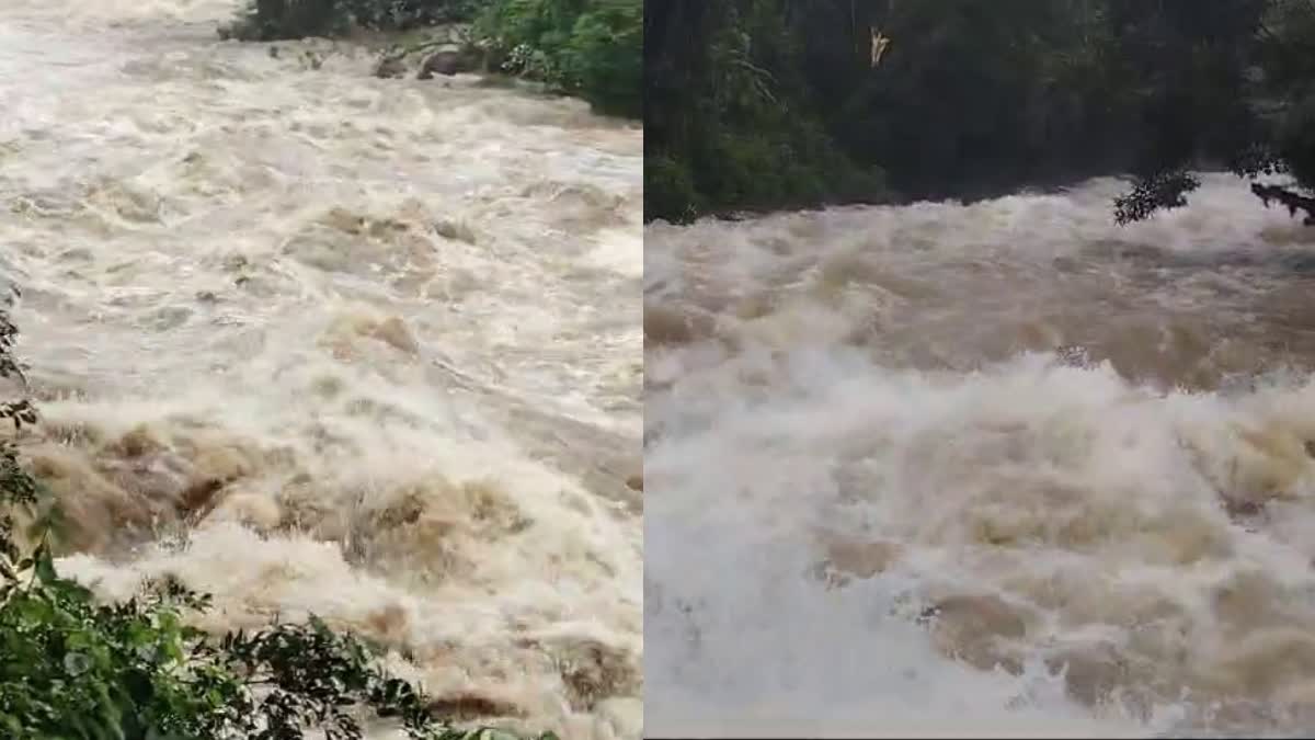 RAIN UPDATE  കോഴിക്കോട് കനത്ത മഴ  കേരളത്തില്‍ കനത്ത മഴ  RAIN DISASTER IN KOZHIKODE