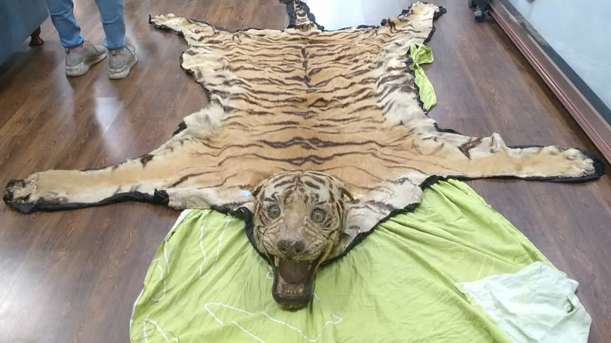 Tiger Skin Selling Case