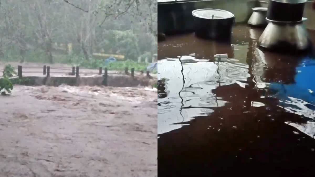 HEAVY RAIN IN CHIMMINI FOREST AREA  WATERLOGGING THRISSUR  ചിമ്മിനി വന മേഖലയിൽ ശക്തമായ മഴ  തൃശൂര്‍ എച്ചിപ്പാറ മലവെള്ളപ്പാച്ചിൽ