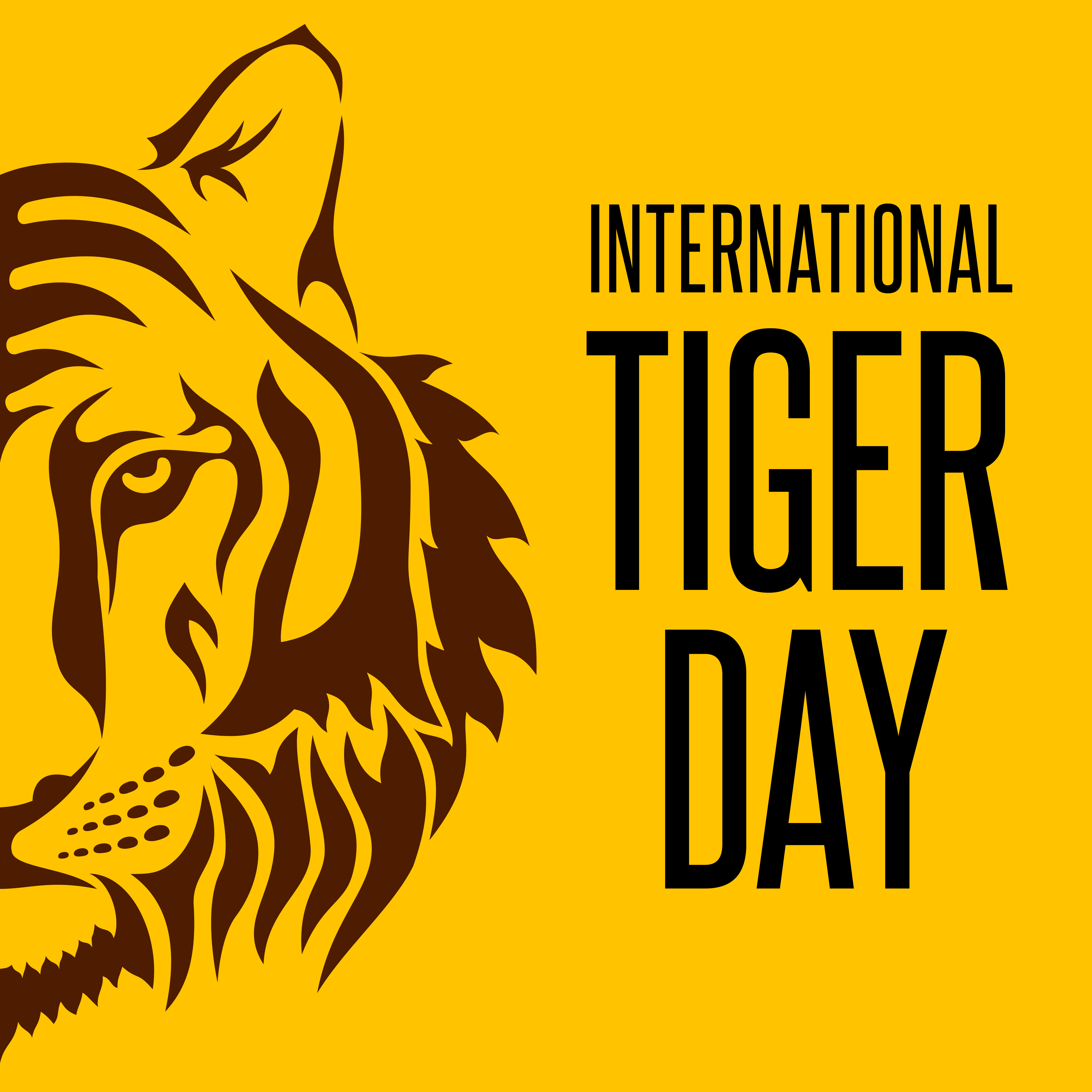 International Tiger day