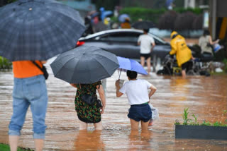 human activities have made global rainfall more volatile over the past century