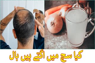 is onion juice really effective for regrowth of hair and its strength