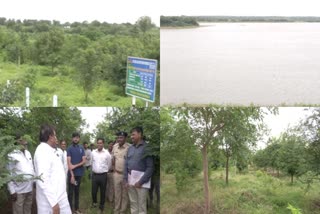 SIDDESHWARA SWAMIJI  MAMADAPUR FOREST AREA  VIJAYAPURA