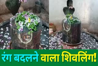 shivlinga-changes-its-colour-in-ghodsimar-temple-of-satgawan-block-in-koderma