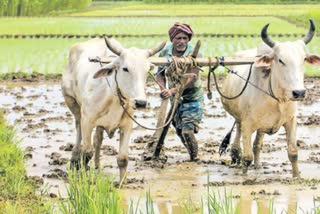 Telangana Crop Loan Waiver