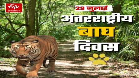 World Tiger Day 2024