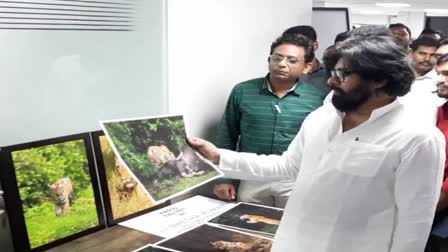 Pawan Kalyan Review on Tiger Conservation