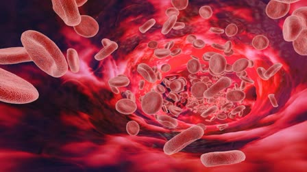 Ways To Overcome Anemia