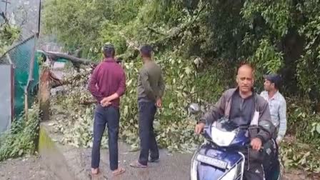 Mussoorie Tree Fall Dehradun