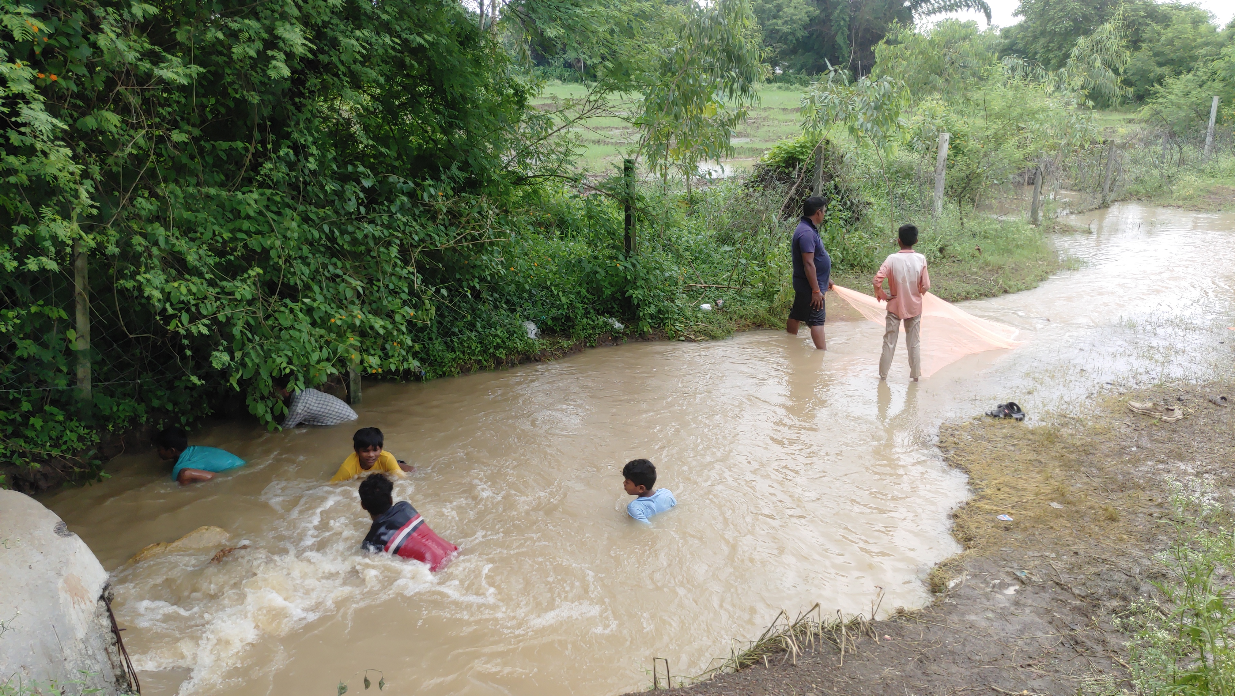 Risking life for fishing