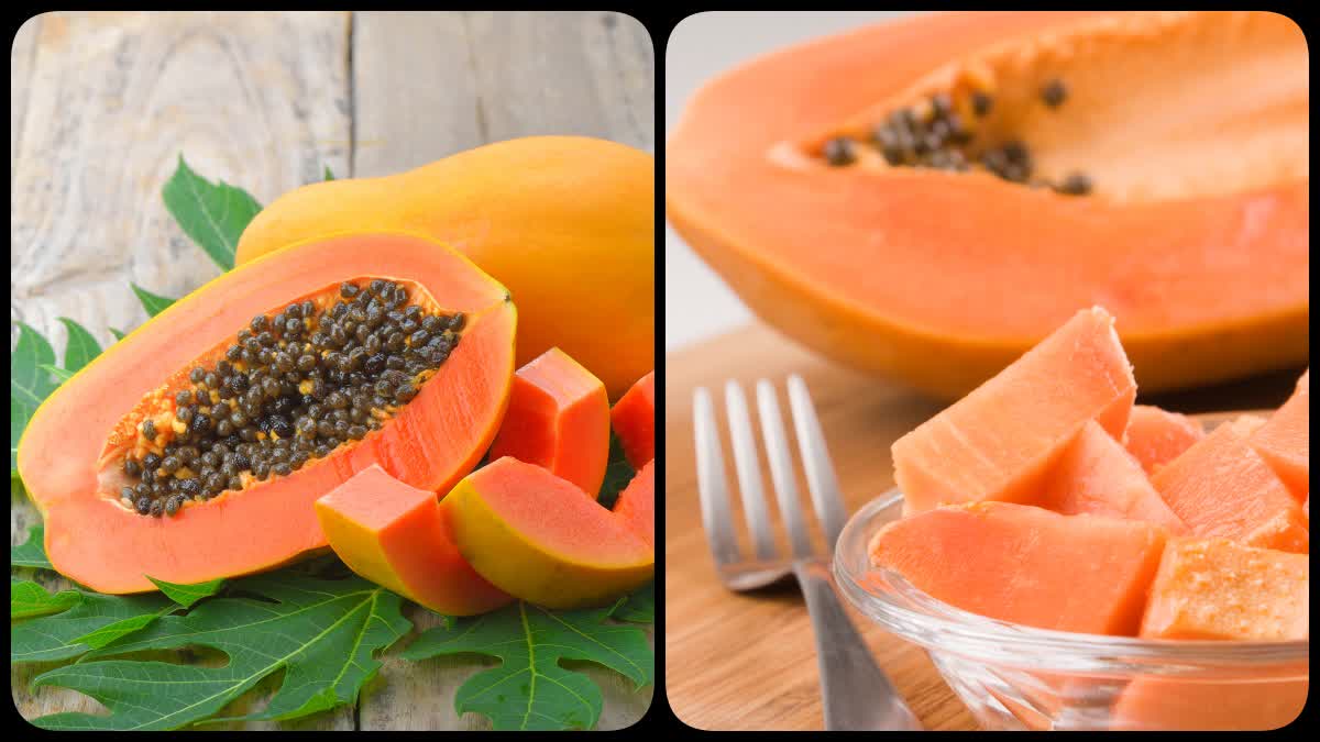 Melon Seeds Benefits