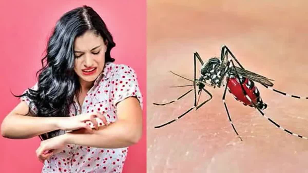 natural remedies to avoid mosquito bites