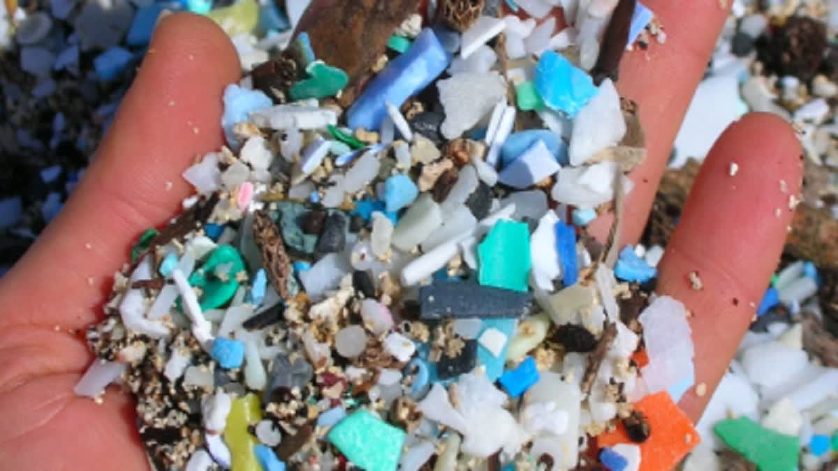 Microplastics can reach brain cells