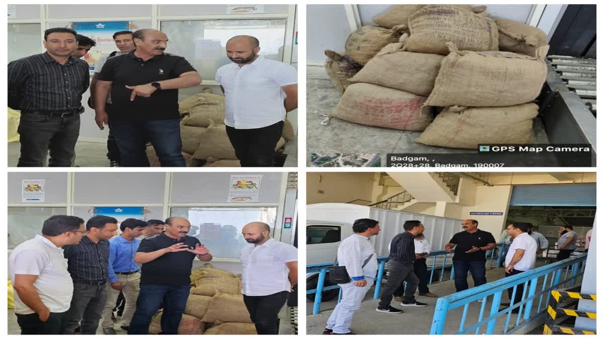 huge-consignment-of-saffron-seeds-recovered-in-srinagar-airport