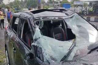 Navsari Accident: નવસારીના અજરાઈ ગામે કાર ચાલકની સામે પશુ આવી જતા ગંભીર અકસ્માત સર્જાયો