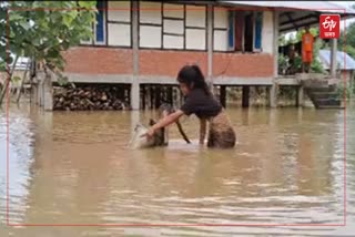 worst flood situation at Bihpuria
