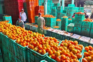solan mandi tomato made record in himachal