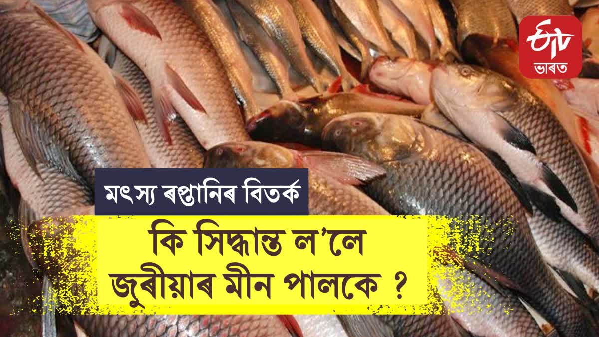 Fish Supply to Upper Assam