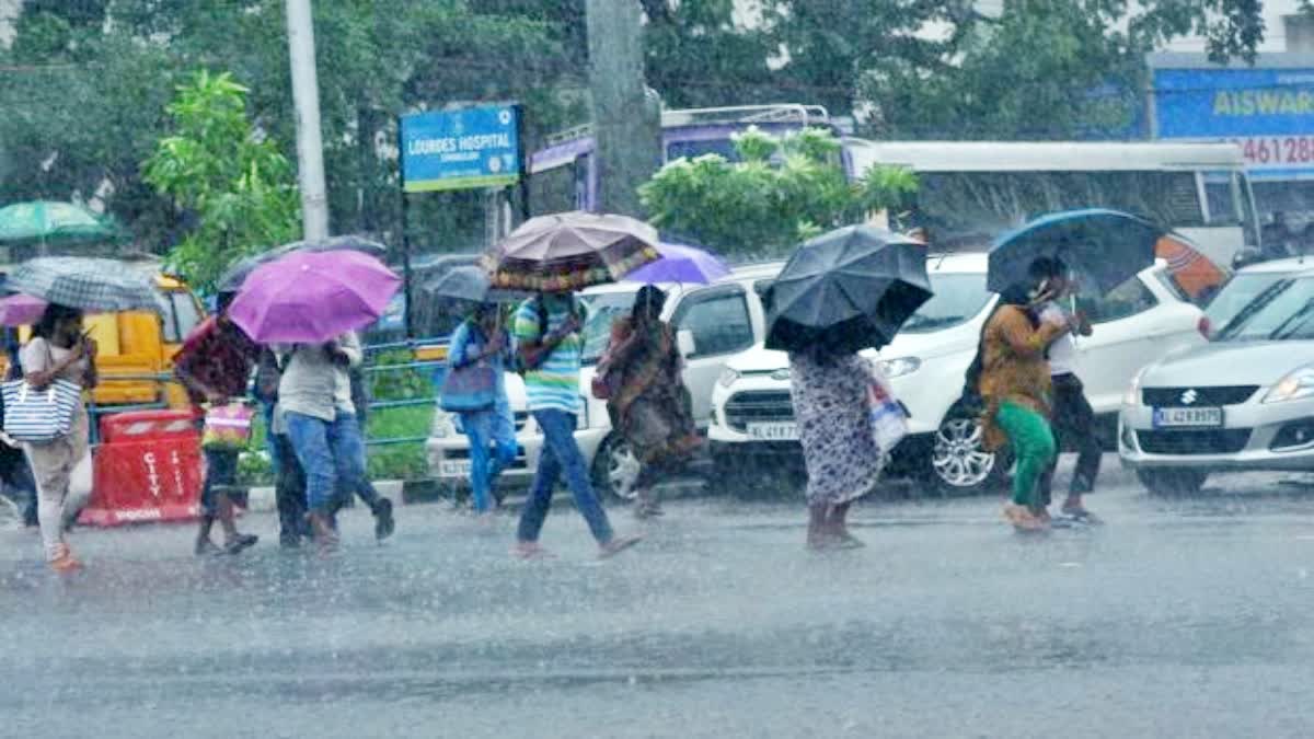 Rain In Bihar