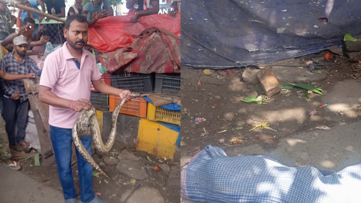 python-killed-man-in-jamshedpur