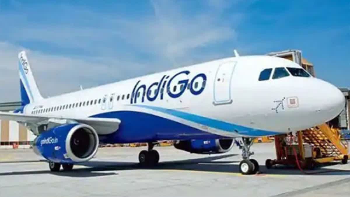 IndiGo