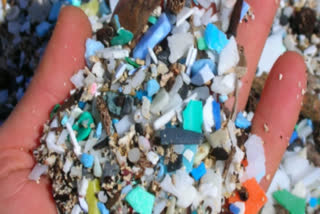 Microplastics Are In Our Brains. How Worried Should We Be?