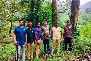 ARALAM WILDLIFE SANCTUARY  ഓപ്പറേഷന്‍ എലഫന്‍റ്  OPERATION ELEPHANT MISSION  മിഷന്‍ എലഫന്‍റ് വാച്ചര്‍മാര്‍