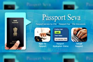 Passport Portal Down