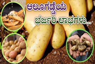 POTATO HEALTH BENEFITS  HEALTHY WAYS TO EAT POTATOES  POTATO BENEFITS