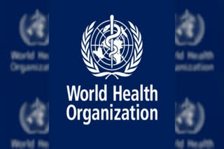 WHO Announces Limited Pauses in Gaza Fighting to Allow for Polio Vaccinations