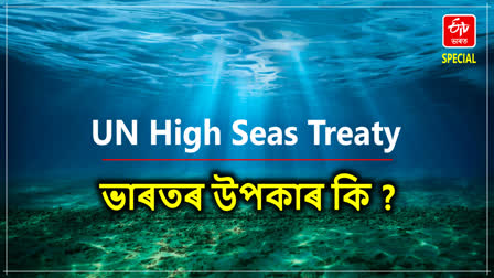 UN High Seas Treaty