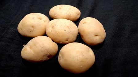 POTATO HEALTH BENEFITS  NUTRITION BENEFITS OF POTATOES  HEALTH BENEFITS OF POTATO  ഉരുളകിഴങ്ങിന്‍റെ ഗുണങ്ങൾ