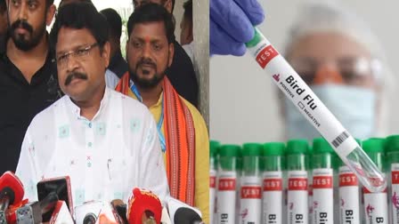 No Human case of bird flu in Odisha Health Minister