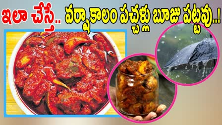 Best Tips to Preserve Pickles in Rainy Season