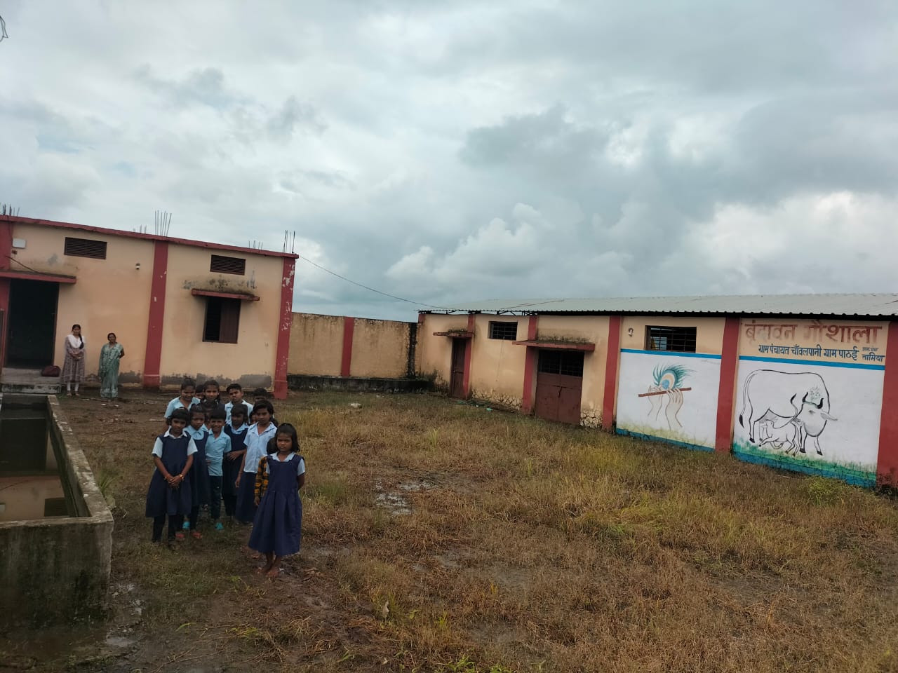 STUDENTS FORCED STUDY in cowsheds