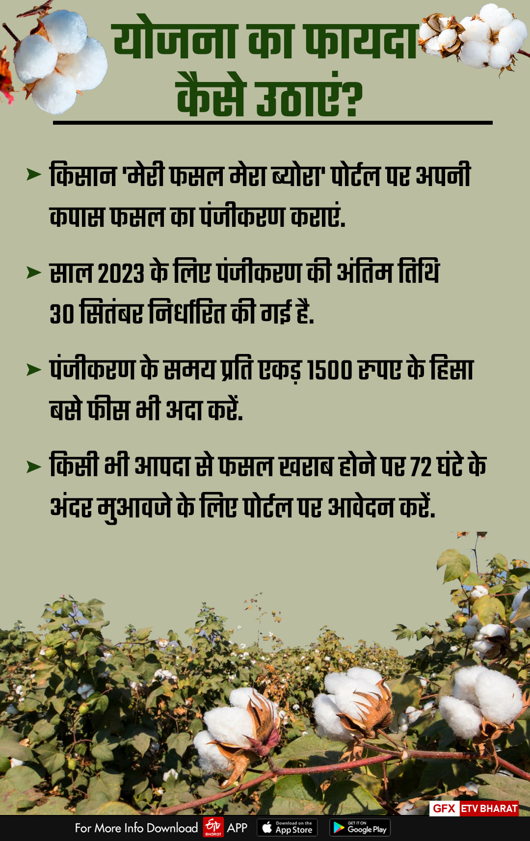 What is Haryana Crop Protection Scheme