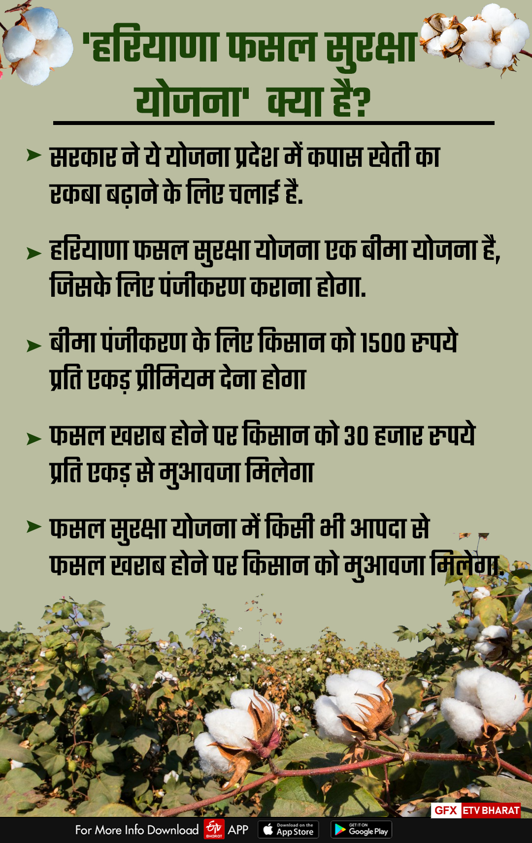 What is Haryana Crop Protection Scheme