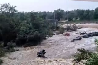 Bhimeswara Vagu Buffaloes Incident