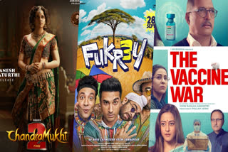 Fukrey 3 box office collection day 2: Pulkit Samrat starrer maintains momentum as it leads The Vaccine War, Chandramukhi 2