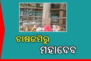 ଚାଷଜମିରୁ ମିଳିଲା ଶିବଲିଙ୍ଗ,ଏହାକୁ ଦେଖିବା ପାଇଁ ଲୋକଙ୍କ ଭିଡ଼ ଜମୁଛି