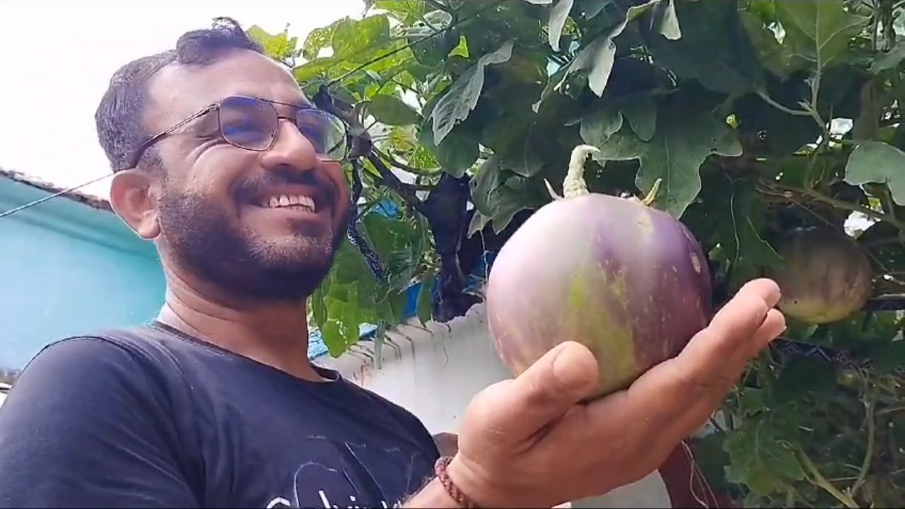 1 KG Weight Of Brinjal