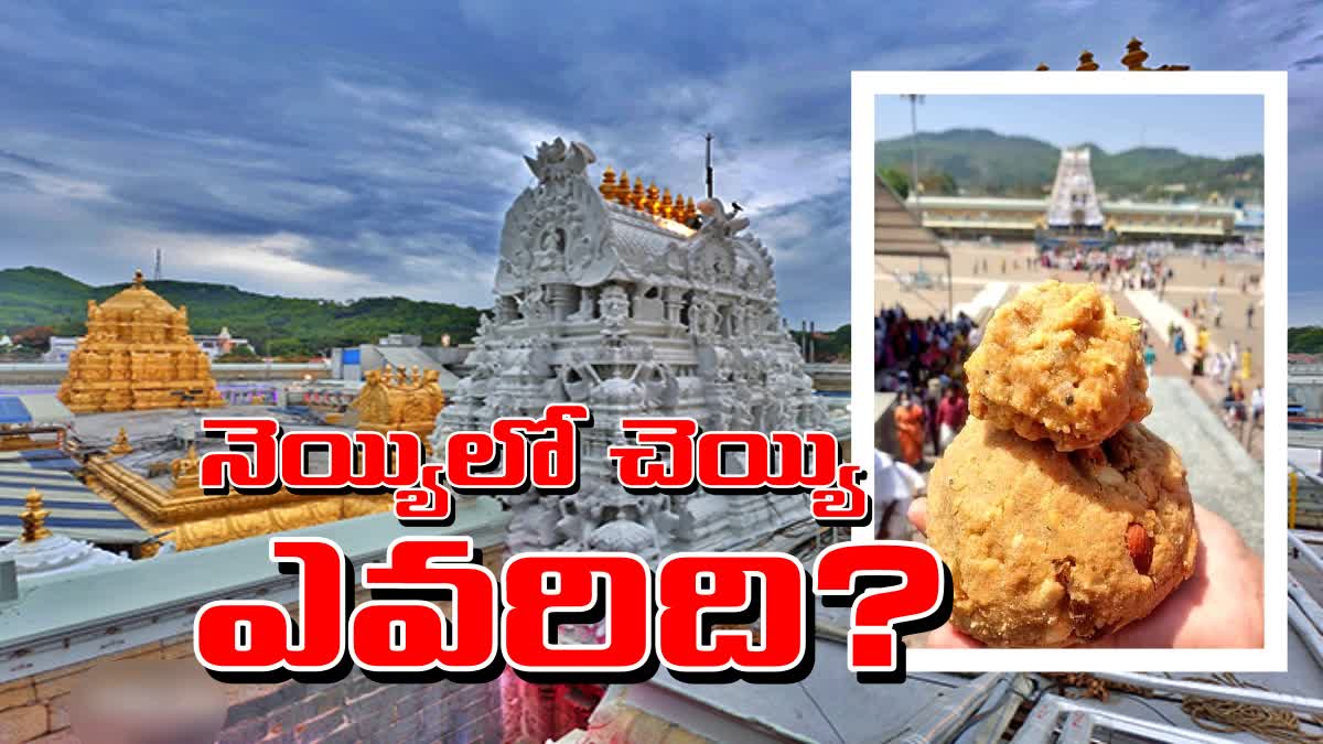 Tirumala Laddu Adulteration Case