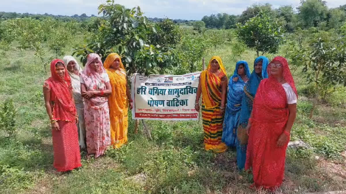 CHHATARPUR WOMEN REVIVE DRY POND