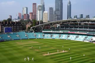 funny Moment on the cricket ground, a dog entered the field and stopped the match