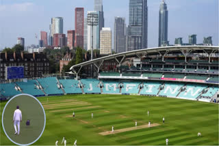 A funny sight was seen on the cricket ground, a dog entered the field and stopped the match